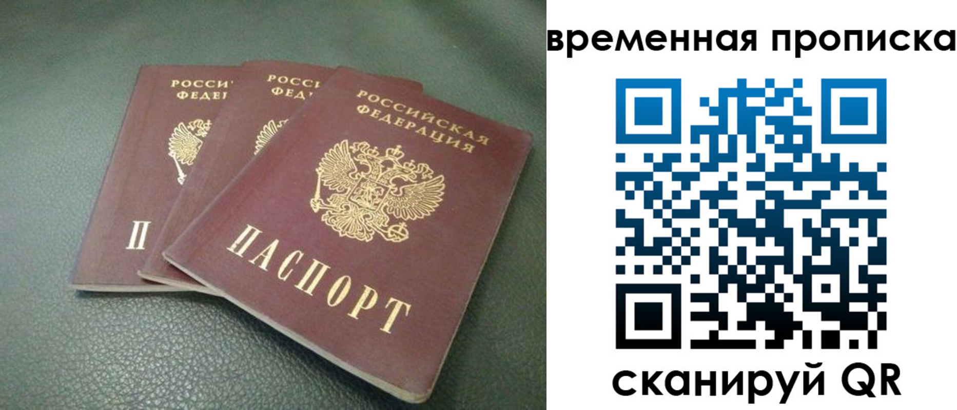 прописка гарантия в Дорогобуже